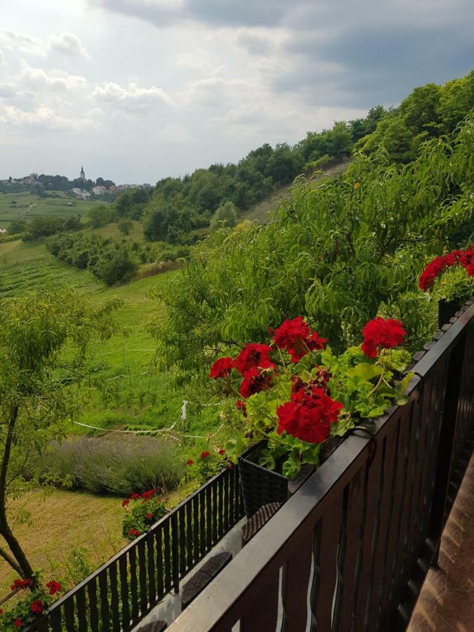 Apartman Potocki كرابينا المظهر الخارجي الصورة