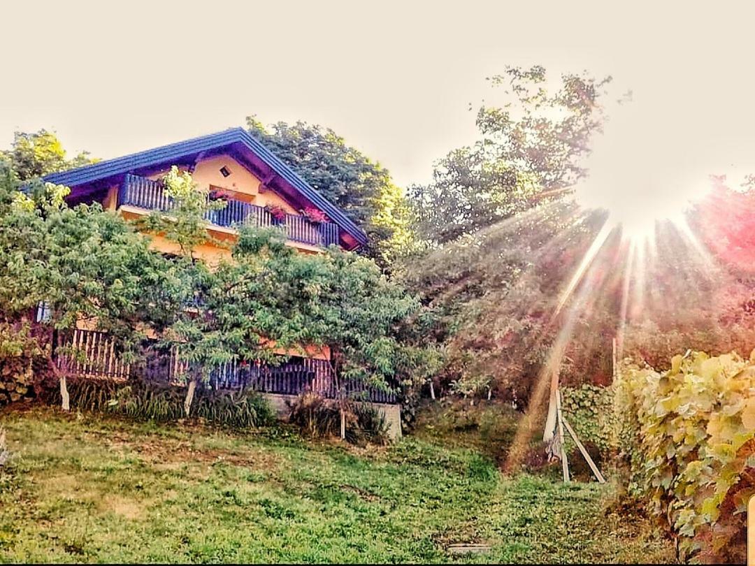 Apartman Potocki كرابينا المظهر الخارجي الصورة